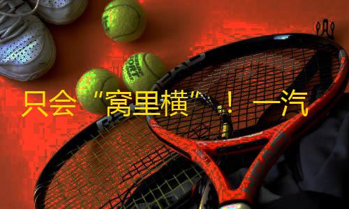 第五人格辅助技能只会“窝里横”！ 一汽奥迪销量立异低
，奚落上汽保正统？